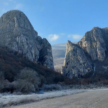 Golemi Kamik Pirot Vlasi Εξωτερικό φωτογραφία