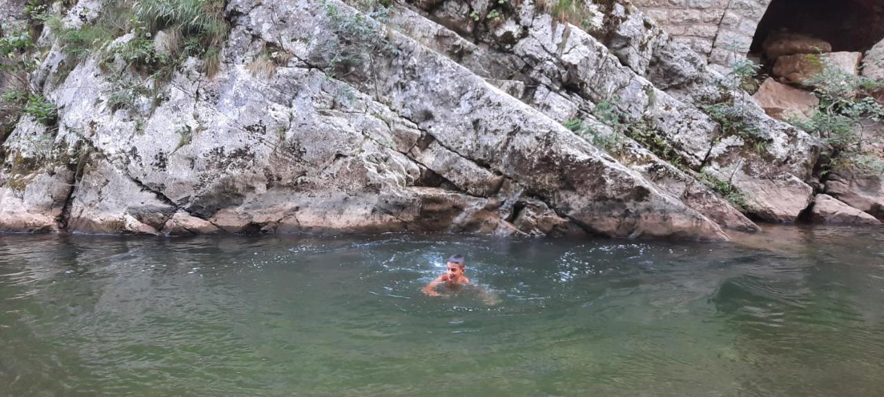 Golemi Kamik Pirot Vlasi Εξωτερικό φωτογραφία