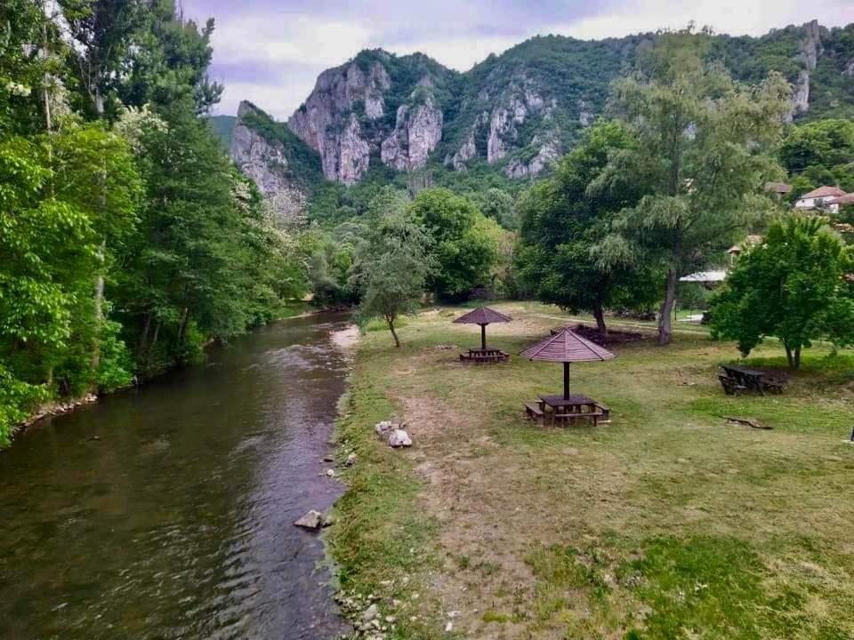Golemi Kamik Pirot Vlasi Εξωτερικό φωτογραφία